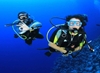 Picture of PADI Adventure Diver 