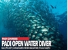 Picture of PADI Open Water Diver