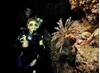 Picture of PADI Adventure Diver 