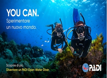 Immagine di PADI Open Water Diver